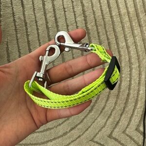 Leash security clip